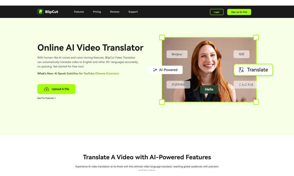 BlipCut AI Video Translator