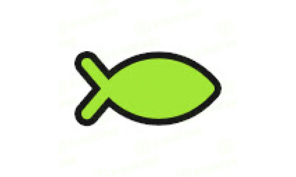 Brainfish - Image 4