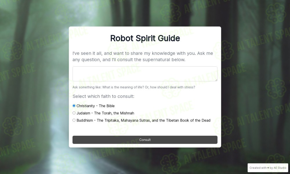 Robot Spirit Guide - Image 1