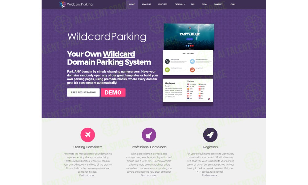 WildcardParking.com - Image 2