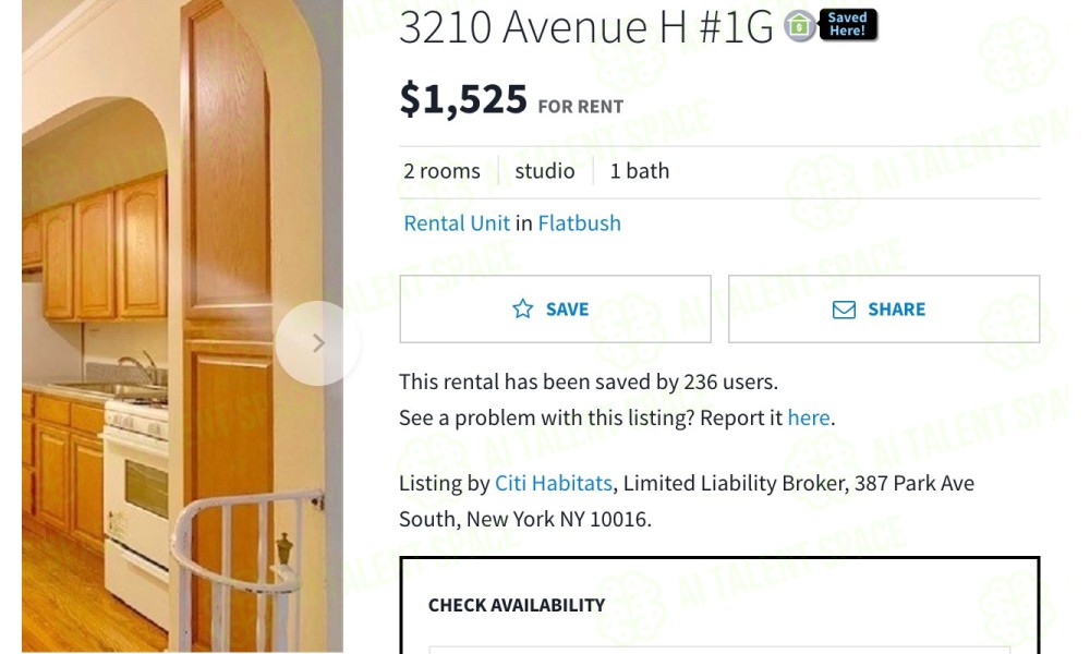 afford.nyc - Image 4